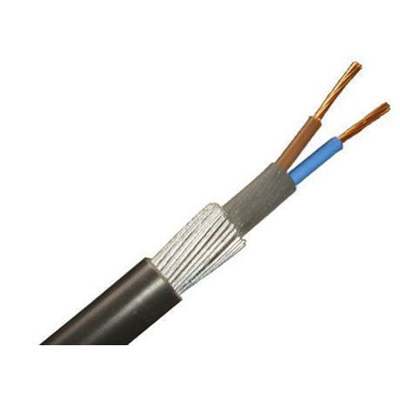 10mm 2 core swa cable