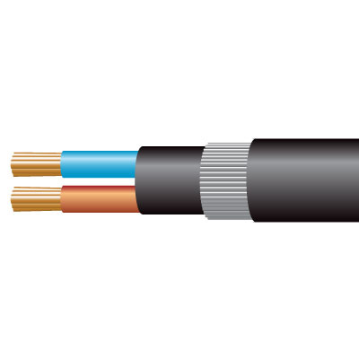 25mm 2 core swa cable