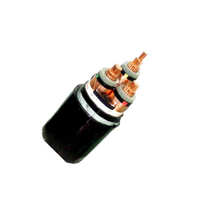 300mm armoured cable