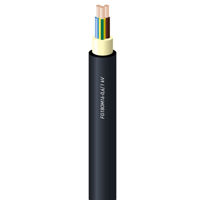 FG18OM16 0.6/1 kV Cable