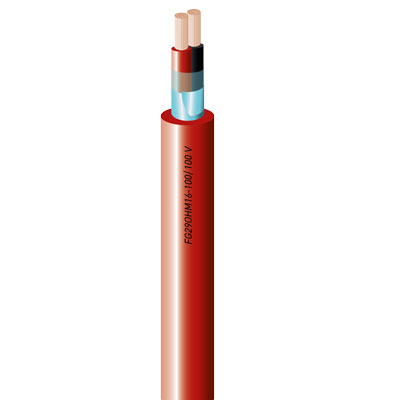 FG29OHM16-100/100V Cable