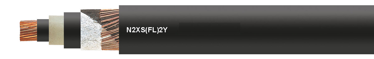 N2XS(FL)2Y Cable
